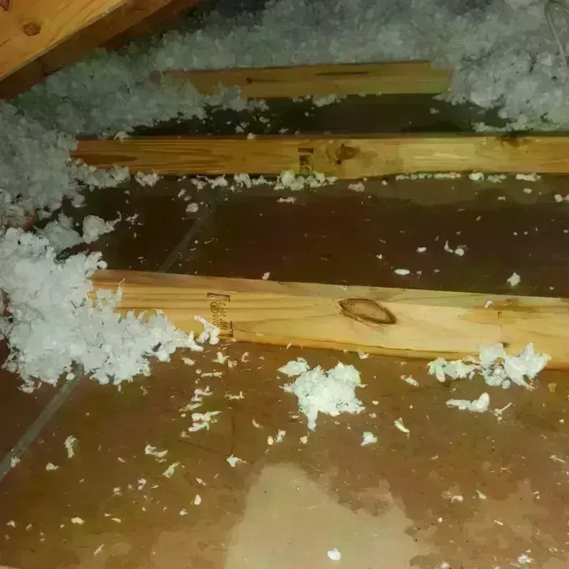 Attic Water Damage in Jackson, AL