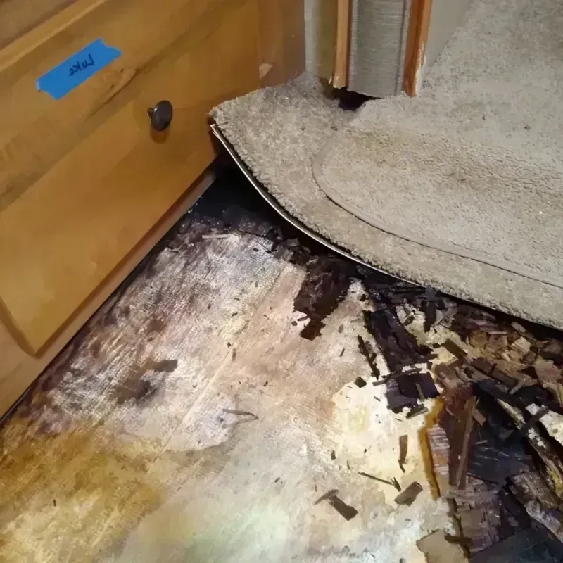 Wood Floor Water Damage in Jackson, AL